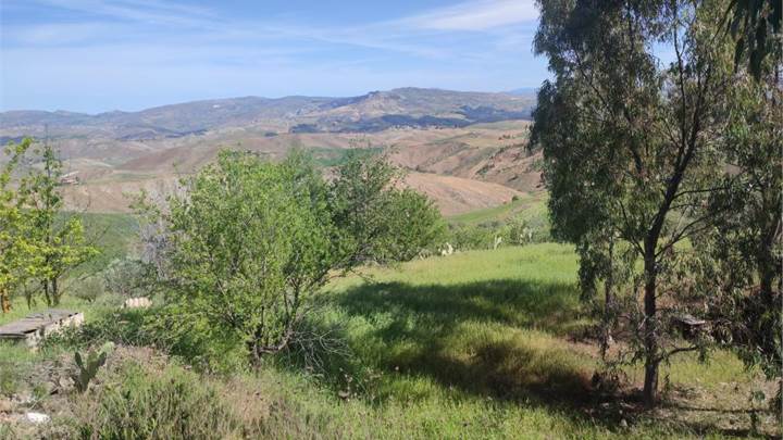 Lotto di terra - Caltanissetta in Cda San Leonardo