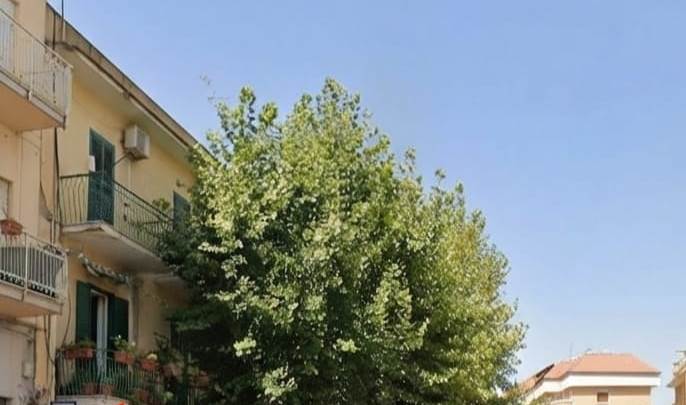 Appartamento in Viale dei Platani